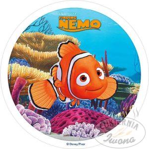 Nemo Nr 1