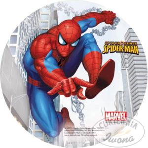 Spiderman Nr 5